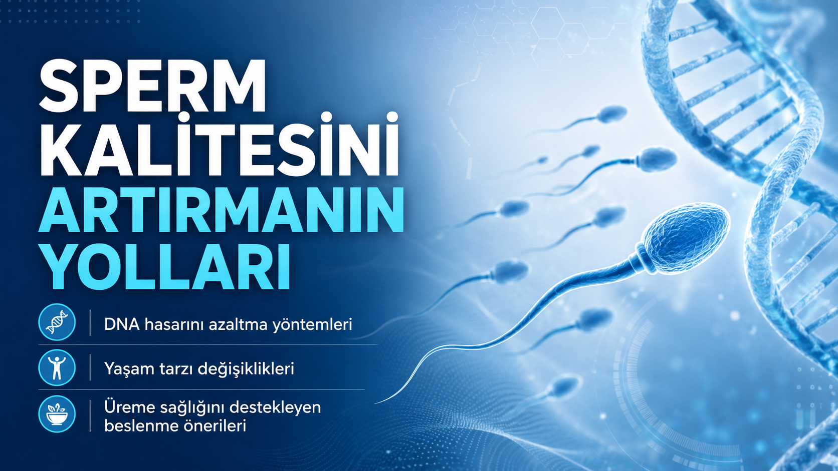 Sperm Kalitesi Nasıl Artırılır? DNA Hasarını Azaltma Yolları