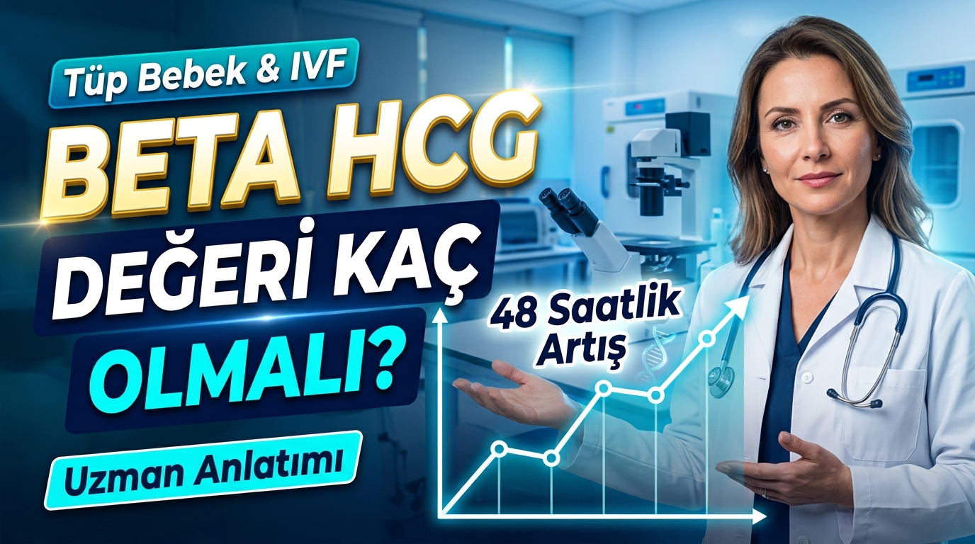 Tüp Bebekte Beta HCG Değeri Kaç Olmalı? 48 Saatteki Artışın Önemi   
